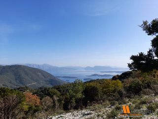 Αγροτεμάχια 4.600 τ.μ. για πώληση