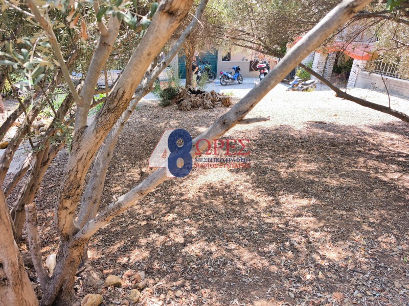 Οικόπεδο 222 τ.μ. προς πώληση, Πόλη Χίου