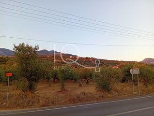 Συγκρότημα διαμερισμάτων 300 τ.μ. πρός πώληση, Μεσσηνία, Λεύκτρος-thumb-13