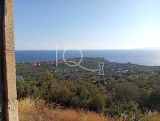 Συγκρότημα διαμερισμάτων 300 τ.μ. πρός πώληση, Μεσσηνία, Λεύκτρος-thumb-11