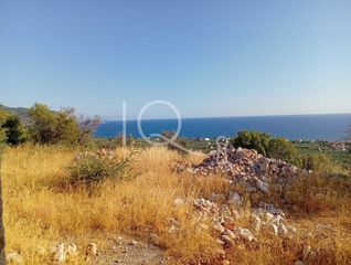 Συγκρότημα διαμερισμάτων 300 τ.μ. πρός πώληση, Μεσσηνία, Λεύκτρος-thumb-12