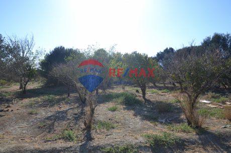Αγροτεμάχια 500τ.μ. για πώληση-Τυμπάκι » Κέντρο