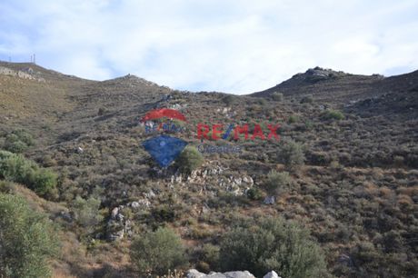 Αγροτεμάχια 12.030τ.μ. για πώληση-Μοίρες » Πόμπια