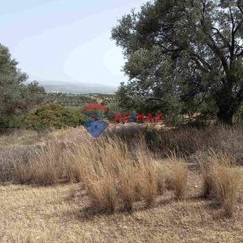 Αγροτεμάχια 6.580τ.μ. για πώληση-Τυμπάκι » Λαγολί