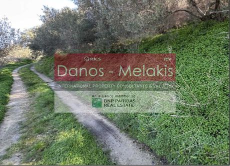 Οικόπεδο 731τ.μ. για πώληση-Πλατανιάς » Μετόχι σιριλίου