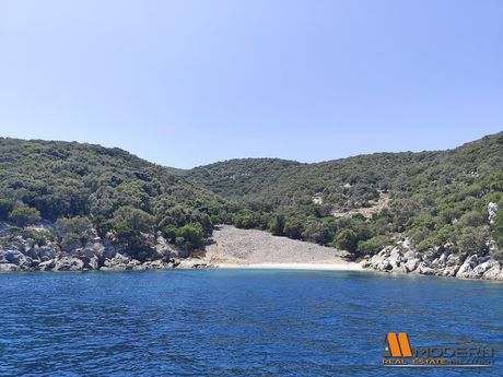 Αγροτεμάχια 50.000 τ.μ. για πώληση