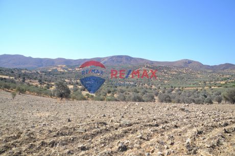 Αγροτεμάχια 17.014τ.μ. για πώληση-Τυμπάκι » Σίβας