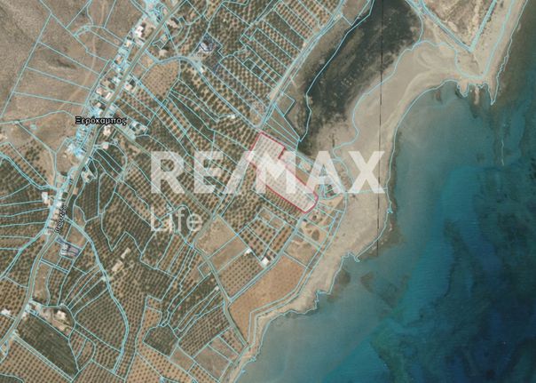 Οικόπεδο 6.722 τ.μ. για πώληση, Ν. Λασιθίου, Λεύκη