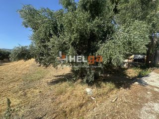 Οικόπεδο 1.500 τ.μ. για πώληση