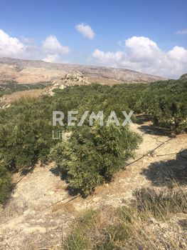 Αγροτεμάχια 9,99τ.μ. για πώληση-Λεύκη » Συκιά