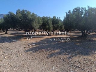 Οικόπεδο 4.400 τ.μ. για πώληση, Ν. Λασιθίου, Ιεράπετρα-thumb-2