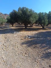 Οικόπεδο 4.400 τ.μ. για πώληση, Ν. Λασιθίου, Ιεράπετρα-thumb-3