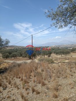 Οικόπεδο 4.381τ.μ. για πώληση-Μοίρες » Λίσταρος