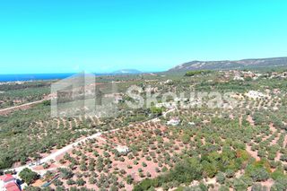 Μονοκατοικία 120 τ.μ. για πώληση, Μεσσηνία, Γαργαλιάνοι-thumb-1