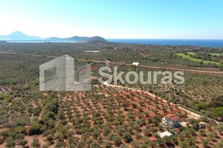 Μονοκατοικία 120 τ.μ. για πώληση, Μεσσηνία, Γαργαλιάνοι-thumb-25