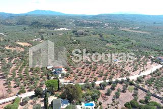 Μονοκατοικία 120 τ.μ. για πώληση, Μεσσηνία, Γαργαλιάνοι-thumb-4