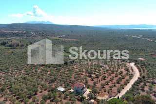 Μονοκατοικία 120 τ.μ. για πώληση, Μεσσηνία, Γαργαλιάνοι-thumb-26