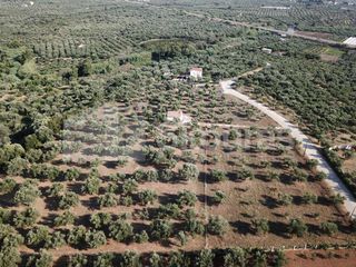 Μονοκατοικία 120 τ.μ. για πώληση, Μεσσηνία, Γαργαλιάνοι-thumb-6