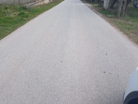 Αγροτεμάχια 11.700 τ.μ. πρός πώληση