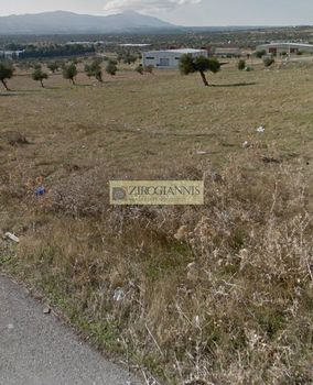 Οικόπεδο 7.700τ.μ. για πώληση-Μέγαρα