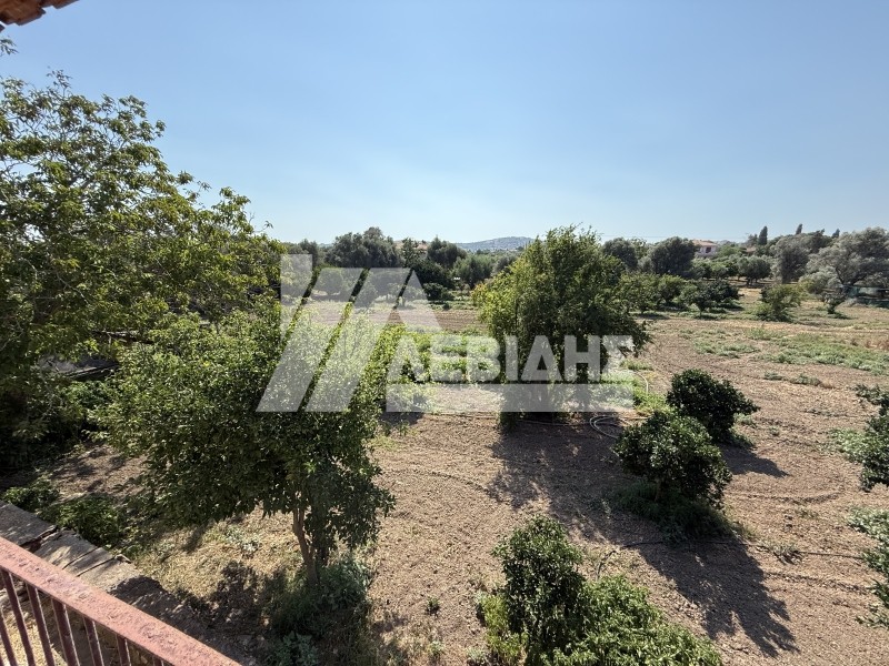 Οικόπεδο 6.340,27 τ.μ. για πώληση, Ν. Χίου, Χίος