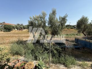 Οικόπεδο 6.340,27 τ.μ. για πώληση, Ν. Χίου, Χίος-thumb-2