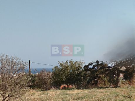Land plot 4.035sqm for sale-Gazi