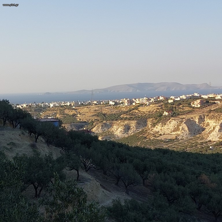 Οικόπεδο 10.000 τ.μ. προς πώληση, Ν. Ηρακλείου, Ηράκλειο Κρήτης