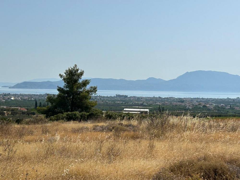 Οικόπεδο 16.874 τ.μ. πρός πώληση, Κορινθία, Βέλο