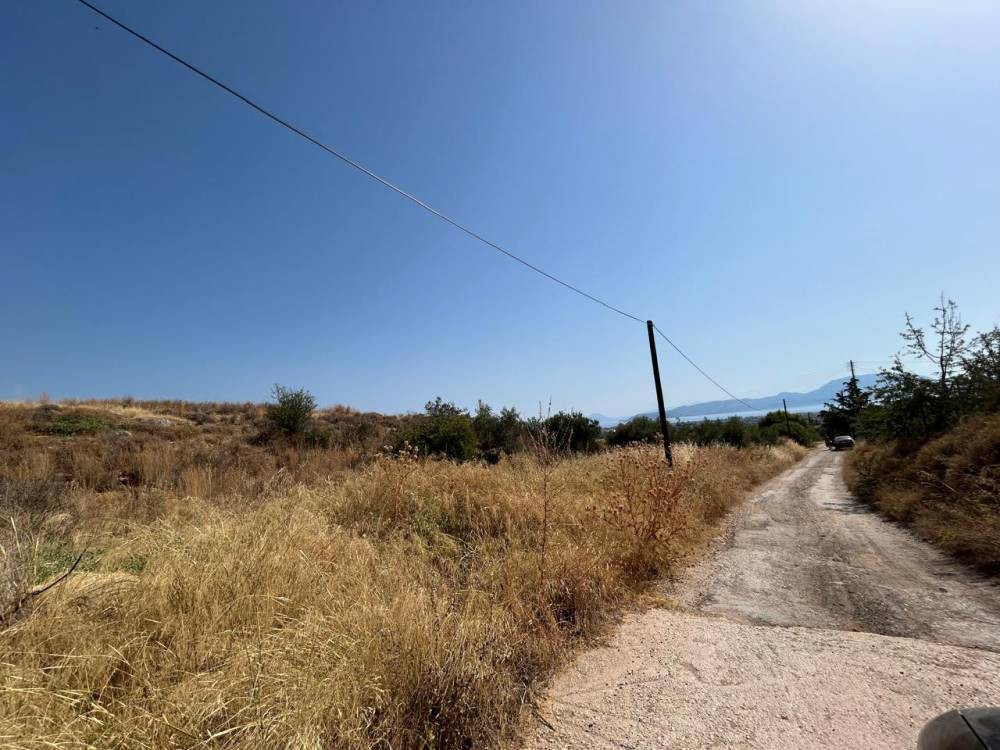 Οικόπεδο 16.874 τ.μ. πρός πώληση, Κορινθία, Βέλο