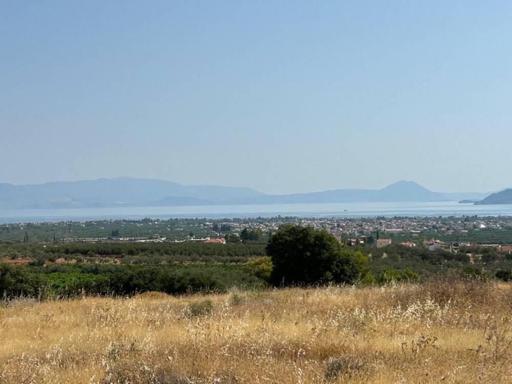Οικόπεδο 16.874 τ.μ. πρός πώληση, Κορινθία, Βέλο