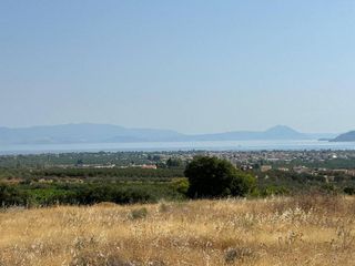Οικόπεδο 16.874 τ.μ. για πώληση