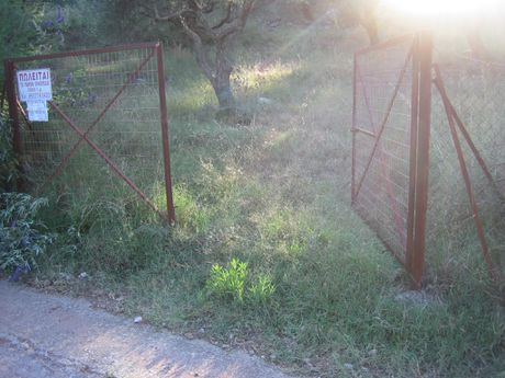 Οικόπεδο 2.976 τ.μ. για πώληση