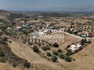 Οικόπεδο 1.470 τ.μ. για πώληση, Αργολίδα, Μιδέα-thumb-8