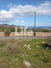 Οικόπεδο 13.913 τ.μ. για πώληση