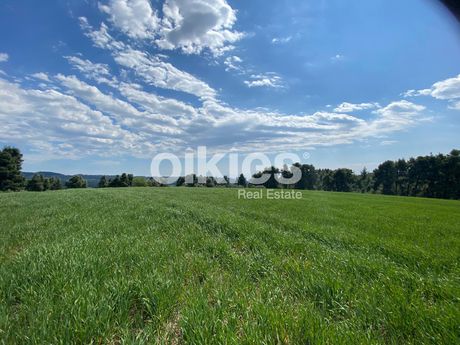 Parcel 4.328,76 sqm for sale