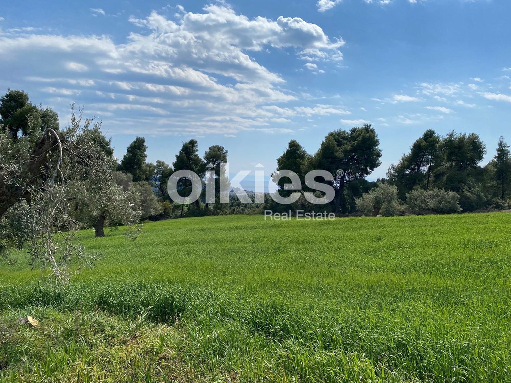 Αγροτεμάχια 4.328,76 τ.μ. προς πώληση, Ελάνη