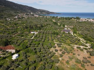 Αγροτεμάχια 1.025 τ.μ. για πώληση