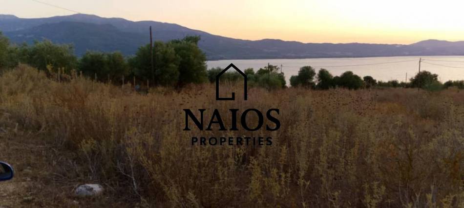 Οικόπεδο 9.650 τ.μ. πρός πώληση, Αιτωλοακαρνανία, Αμφιλοχία
