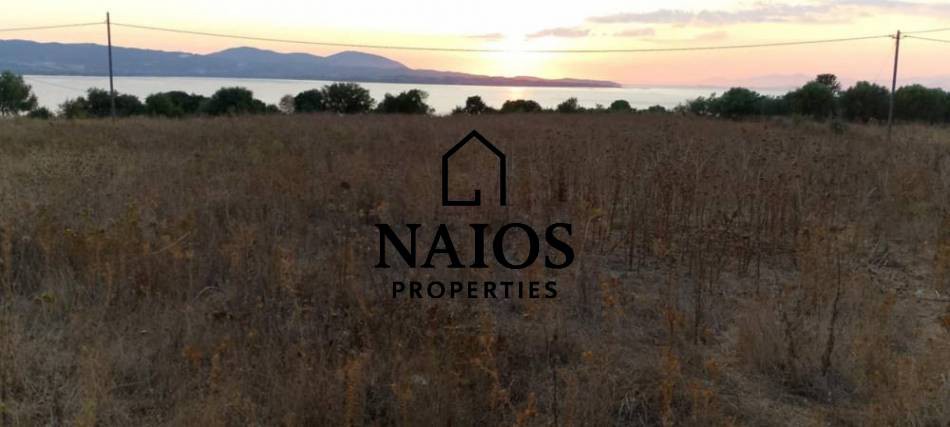 Οικόπεδο 9.650 τ.μ. πρός πώληση, Αιτωλοακαρνανία, Αμφιλοχία