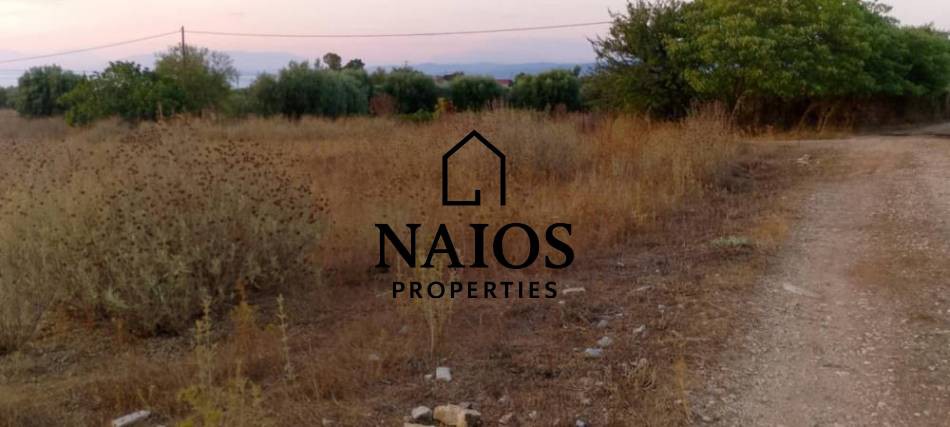 Οικόπεδο 9.650 τ.μ. πρός πώληση, Αιτωλοακαρνανία, Αμφιλοχία