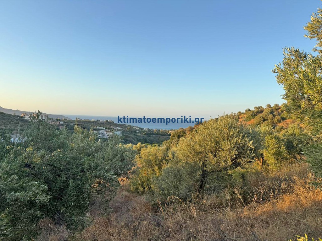 Οικόπεδο 2.250 τ.μ. προς πώληση, Σταλός