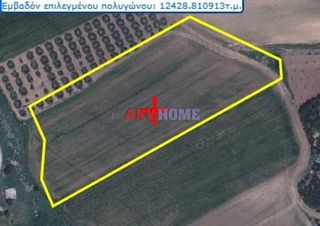 Αγροτεμάχια 12.438 τ.μ. για πώληση