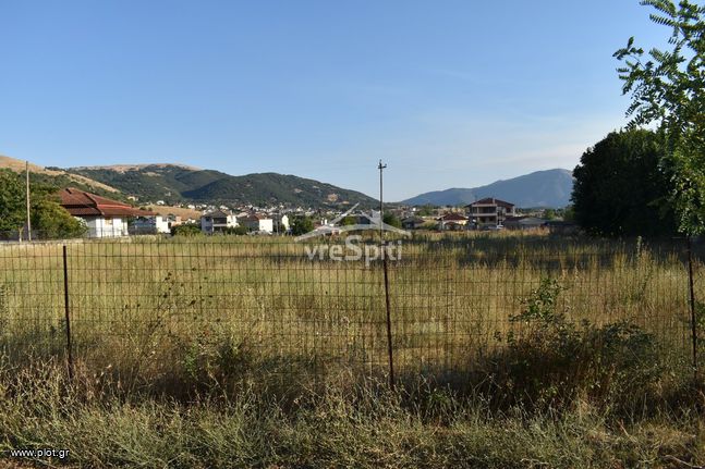 Οικόπεδο 3.100 τ.μ. για πώληση, Ν. Ιωαννίνων, Ανατολή