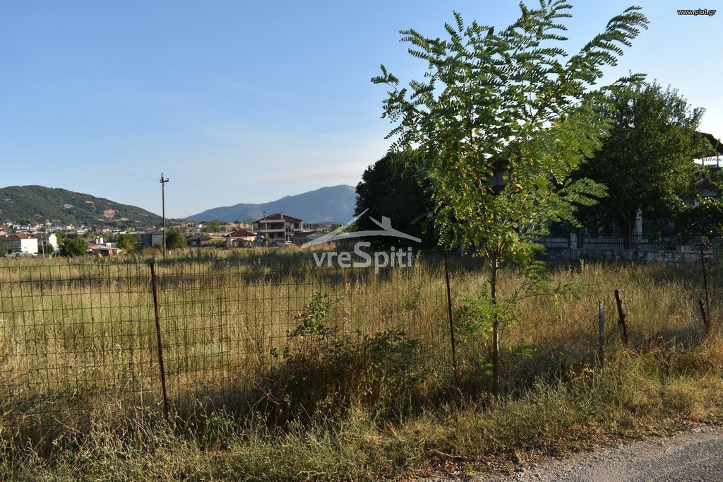 Οικόπεδο 3.100 τ.μ. προς πώληση, Μπάφρα