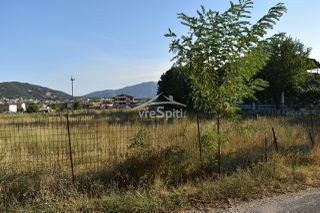 Οικόπεδο 3.100 τ.μ. για πώληση, Ν. Ιωαννίνων, Ανατολή-thumb-23