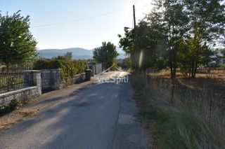Οικόπεδο 3.100 τ.μ. για πώληση, Ν. Ιωαννίνων, Ανατολή-thumb-26