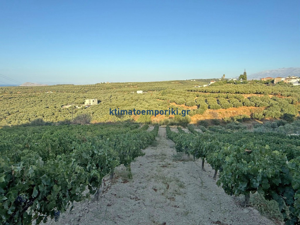 Οικόπεδο 3.800 τ.μ. προς πώληση, Ξαμουδοχώρι