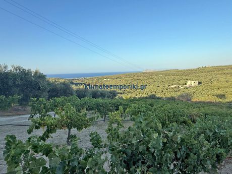 Οικόπεδο 3.800τ.μ. για πώληση-Πλατανιάς