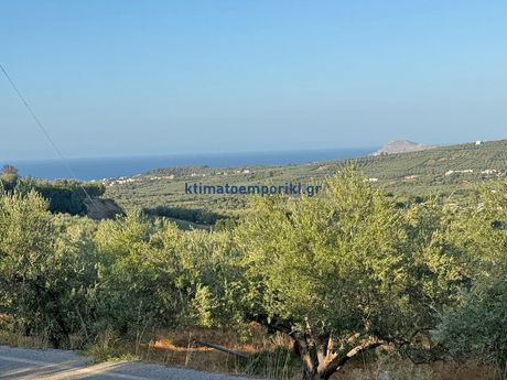 Οικόπεδο 6.800τ.μ. για πώληση-Πλατανιάς